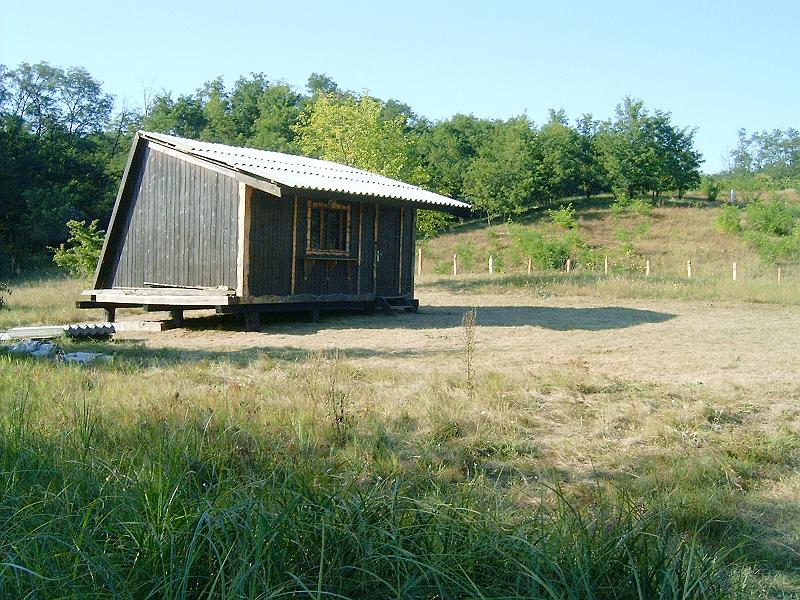 2009.08.21 027.jpg